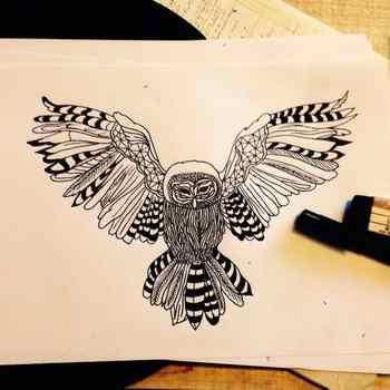 An illustrated owl, black ink on white paper